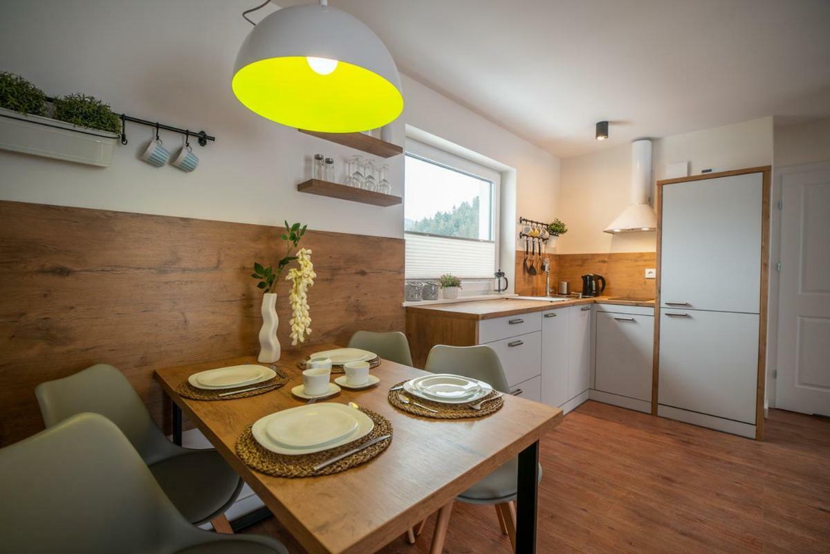 Apartament Kasztanowy Blisko Centrum - Dream Apart Szczyrk Kültér fotó